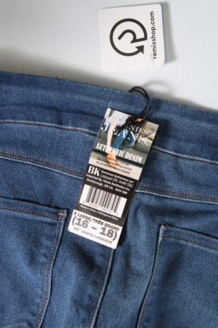 Damen Jeans, Größe XL, Farbe Blau, Preis € 17,61