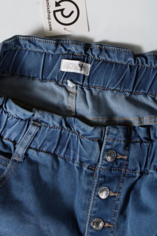 Damen Jeans Haily`s, Größe XXL, Farbe Blau, Preis € 17,12