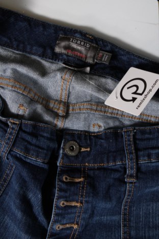 Damen Jeans Torrid, Größe XL, Farbe Blau, Preis € 10,09