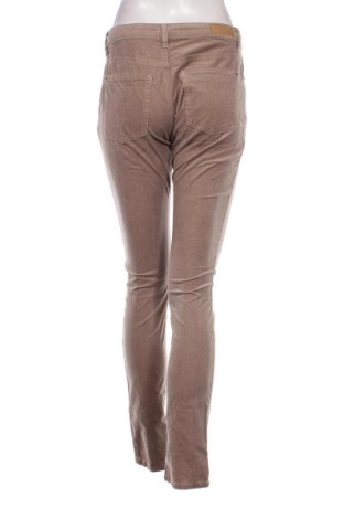 Pantaloni de velvet de femei Esprit, Mărime M, Culoare Maro, Preț 21,99 Lei