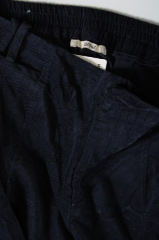 Dámské manšestráky  Esprit, Velikost XL, Barva Modrá, Cena  294,00 Kč