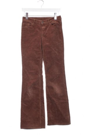 Pantaloni de velvet de femei H&M B'B, Mărime XS, Culoare Maro, Preț 41,02 Lei