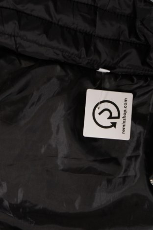 Γυναικείο γιλέκο, Μέγεθος XL, Χρώμα Μαύρο, Τιμή 14,63 €