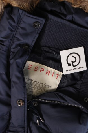 Γυναικείο γιλέκο Esprit, Μέγεθος M, Χρώμα Μπλέ, Τιμή 16,39 €
