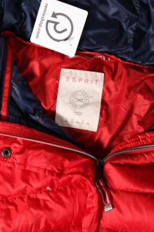 Γυναικείο γιλέκο Esprit, Μέγεθος XL, Χρώμα Κόκκινο, Τιμή 18,03 €