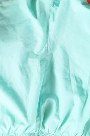 Damen Shorts, Größe M, Farbe Grün, Preis 3,97 €
