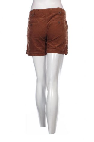 Damen Shorts Colours Of The World, Größe M, Farbe Braun, Preis € 3,97