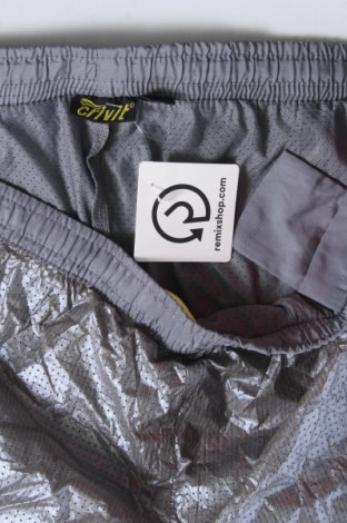Damen Shorts Crivit, Größe XL, Farbe Grau, Preis € 8,14
