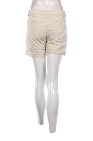 Damen Shorts North Sails, Größe M, Farbe Beige, Preis 15,96 €