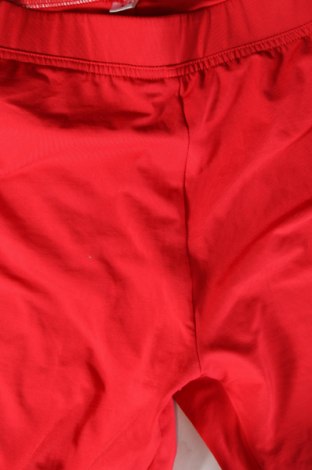 Damen Leggings, Größe L, Farbe Rot, Preis 6,40 €