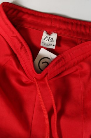 Colant de femei Zara, Mărime S, Culoare Roșu, Preț 22,74 Lei