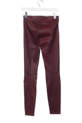 Damskie skórzane spodnie Massimo Dutti, Rozmiar XS, Kolor Czerwony, Cena 743,70 zł