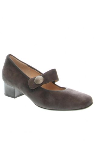 Damenschuhe HASSIA, Größe 38, Farbe Grau, Preis 65,32 €