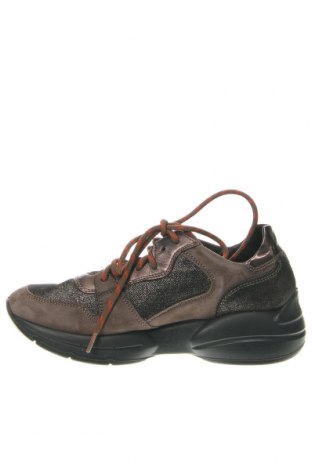 Damenschuhe Igi&Co, Größe 40, Farbe Braun, Preis € 98,88