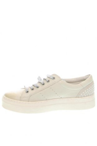 Damenschuhe Nelson, Größe 40, Farbe Grau, Preis 32,47 €