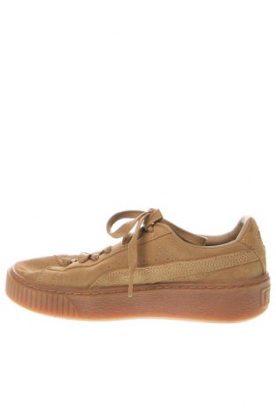 Damenschuhe PUMA, Größe 37, Farbe Beige, Preis € 43,35