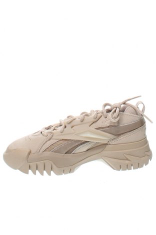 Damenschuhe Reebok X Cardi B, Größe 37, Farbe Beige, Preis 65,77 €