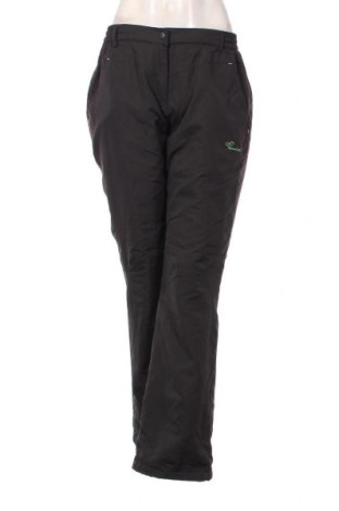 Pantaloni de femei, Mărime XL, Culoare Gri, Preț 38,49 Lei