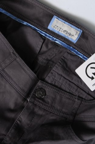 Γυναικείο παντελόνι Esprit, Μέγεθος L, Χρώμα Γκρί, Τιμή 8,88 €