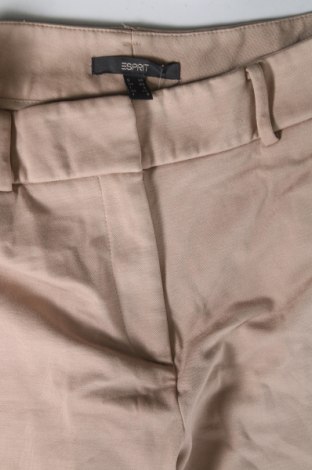 Damenhose Esprit, Größe XS, Farbe Beige, Preis € 28,53