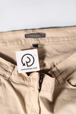 Damenhose Esprit, Größe L, Farbe Beige, Preis € 28,53