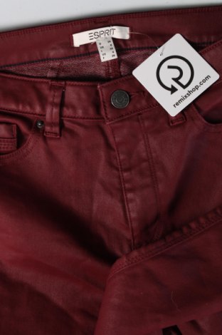 Damenhose Esprit, Größe S, Farbe Rot, Preis 6,28 €