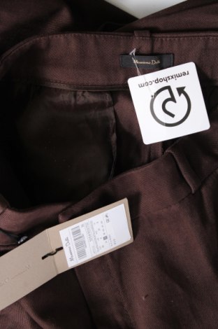 Damenhose Massimo Dutti, Größe S, Farbe Braun, Preis € 40,21