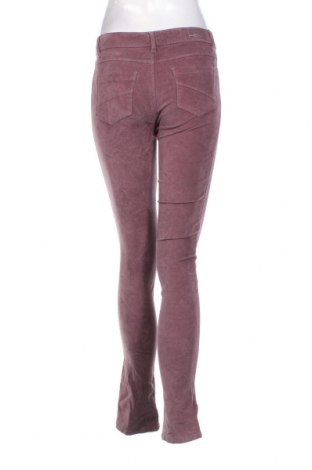 Damenhose Promod, Größe S, Farbe Lila, Preis € 11,41