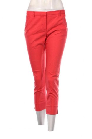 Damenhose Witty Knitters, Größe S, Farbe Rot, Preis € 3,49