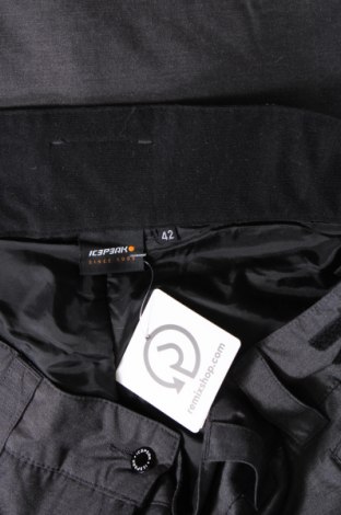 Damenhose für Wintersport Icepeak, Größe L, Farbe Grau, Preis € 80,41