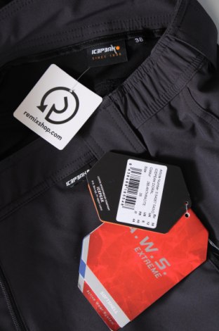 Damenhose für Wintersport Icepeak, Größe M, Farbe Grau, Preis € 86,60