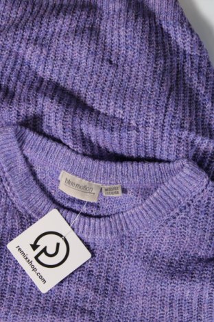 Damenpullover Blue Motion, Größe M, Farbe Lila, Preis € 10,49