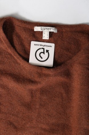 Damenpullover Esprit, Größe S, Farbe Braun, Preis € 14,84