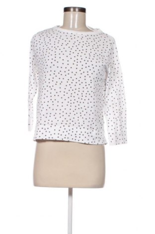 Γυναικείο πουλόβερ Peter Hahn, Μέγεθος S, Χρώμα Λευκό, Τιμή 23,78 €