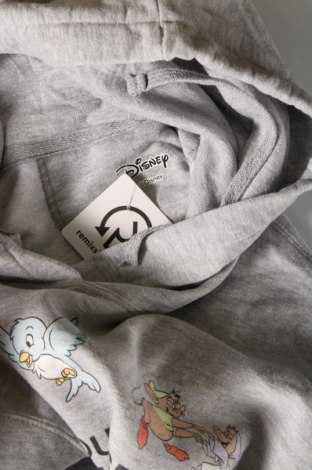 Damen Sweatshirt Disney, Größe XL, Farbe Grau, Preis 10,09 €