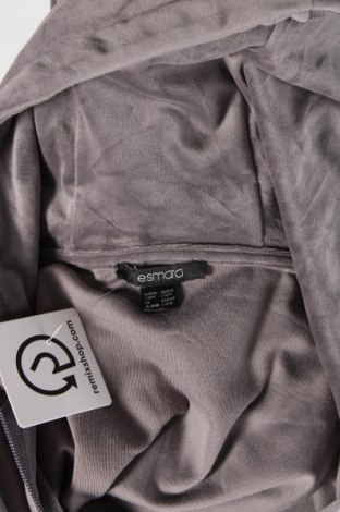 Damen Sweatshirt Esmara, Größe L, Farbe Grau, Preis 9,08 €