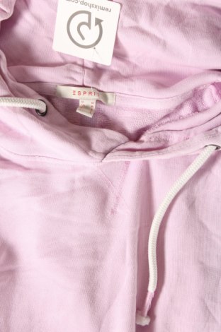 Damen Sweatshirt Esprit, Größe M, Farbe Lila, Preis € 8,56