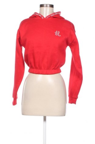 Damen Sweatshirt Fb Sister, Größe XS, Farbe Rot, Preis 20,18 €