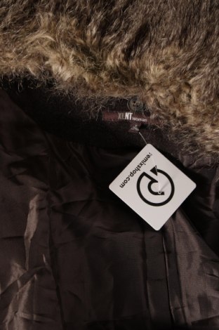 Dámsky kabát  Xlnt, Veľkosť XL, Farba Hnedá, Cena  29,10 €
