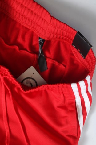 Damen Sporthose Adidas, Größe XS, Farbe Schwarz, Preis € 47,94