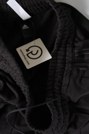 Damskie spodnie sportowe Adidas, Rozmiar L, Kolor Czarny, Cena 123,95 zł