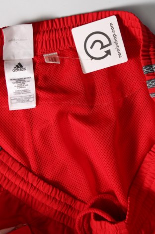 Damen Sporthose Adidas, Größe XL, Farbe Rot, Preis € 13,99