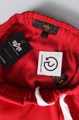 Γυναικείο αθλητικό παντελόνι Alpha Industries, Μέγεθος XS, Χρώμα Κόκκινο, Τιμή 26,37 €