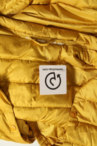 Дамско яке, Размер M, Цвят Жълт, Цена 16,80 лв.