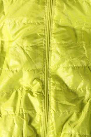 Dámska bunda , Veľkosť L, Farba Zelená, Cena  9,53 €