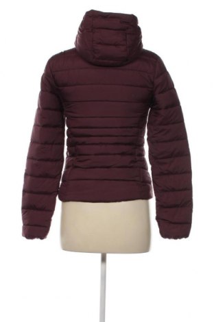 Damenjacke Clockhouse, Größe S, Farbe Rot, Preis € 19,04