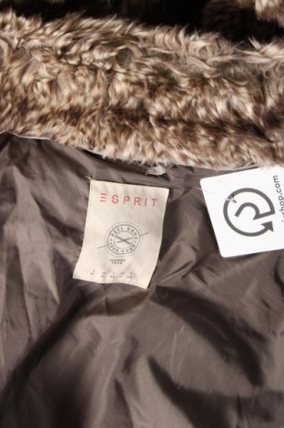 Dámská bunda  Esprit, Velikost XL, Barva Béžová, Cena  742,00 Kč