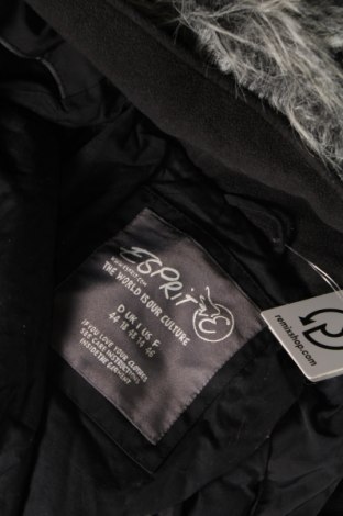 Damenjacke Esprit, Größe XL, Farbe Schwarz, Preis 20,71 €