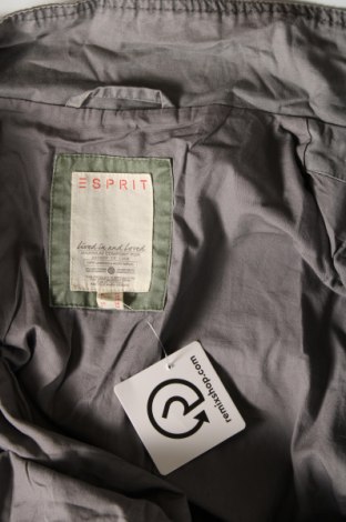 Damenjacke Esprit, Größe XL, Farbe Grau, Preis 18,37 €