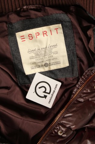 Damenjacke Esprit, Größe S, Farbe Braun, Preis 52,19 €